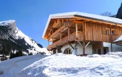 Luxury Commercial Ski Lodge - L